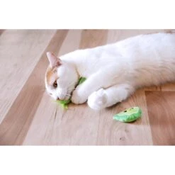 Quirky Kitty Meowgarita Time Catnip Plush Cat Toy, 2 Count -Pawfect Care 900374 PT2. AC SS1800 V1689017287