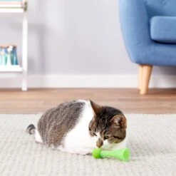 Ethical Pet Kitty Fun Boppers Cat Toy, 4-in, Color Varies -Pawfect Care 90226 PT1. AC SS1800 V1544741276