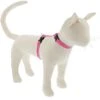 LupinePet Reflective H-style Cat Harness, Small: 12 To 20-in Chest -Pawfect Care 911142 MAIN. AC SS1800 V1689366313