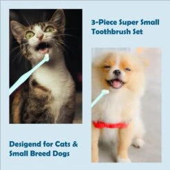 Pet Republique Super Small Handle 1/4-in Pointed Brush, 1/4-in Flat Brush, 3/8-in Regular Brush Toothbrush Kit For Dogs & Cats, 3 Count -Pawfect Care 911646 PT2. AC SS1800 V1691181330