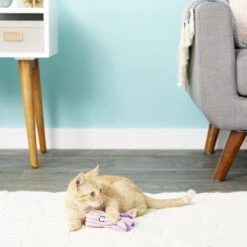 KONG CuteSeas Cat Toy -Pawfect Care 91353 PT6. AC SS1800 V1603159590