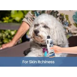 Gou Gou Pets Holistic Natural Derived Allergy Dog & Cat Shampoo, 16-oz Bottle -Pawfect Care 917894 PT3. AC SS1800 V1694443414