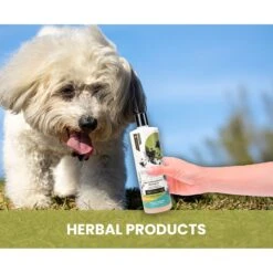 Gou Gou Pets Holistic Natural Derived Joint Inflammation Dog & Cat Shampoo, 16-oz Bottle -Pawfect Care 917910 PT4. AC SS1800 V1695327557