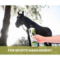 Gou Gou Pets Holistic Natural Derived Joint Inflammation Dog & Cat Shampoo, 16-oz Bottle -Pawfect Care 917910 PT5. AC SS1800 V1695327558