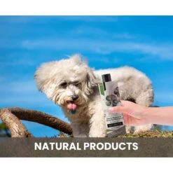 Gou Gou Pets Holistic Natural Derived Cherry Blossom & Green Tea Dog & Cat Shampoo, 16-oz Bottle -Pawfect Care 917926 PT5. AC SS1800 V1694442927