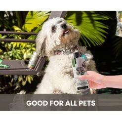 Gou Gou Pets Holistic Natural Derived Cherry Blossom & Green Tea Dog & Cat Shampoo, 16-oz Bottle -Pawfect Care 917926 PT6. AC SS1800 V1694443413