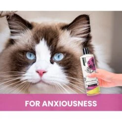 Gou Gou Pets Holistic Natural Derived Calming Dog & Cat Shampoo Anxiety, 16-oz Bottle -Pawfect Care 917942 PT4. AC SS1800 V1694443043