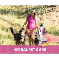 Gou Gou Pets Holistic Natural Derived Calming Dog & Cat Shampoo Anxiety, 16-oz Bottle -Pawfect Care 917942 PT6. AC SS1800 V1694443414