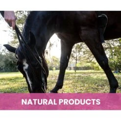 Gou Gou Pets Holistic Natural Derived Calming Dog & Cat Shampoo Anxiety, 16-oz Bottle -Pawfect Care 917942 PT7. AC SS1800 V1694443047