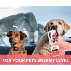 Gou Gou Pets Inner Fuel & Energy Boosting Dog & Cat Shampoo, 16-oz Bottle -Pawfect Care 917958 PT4. AC SS1800 V1694442953