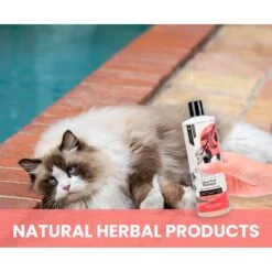 Gou Gou Pets Inner Fuel & Energy Boosting Dog & Cat Shampoo, 16-oz Bottle -Pawfect Care 917958 PT5. AC SS1800 V1694442935