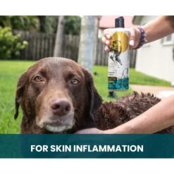 Gou Gou Pets Lemongrass Dog Shampoo, 16-oz Bottle -Pawfect Care 917974 PT3. AC SS1800 V1694442930