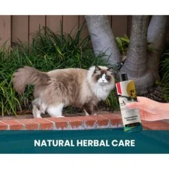 Gou Gou Pets Lemongrass Dog Shampoo, 16-oz Bottle -Pawfect Care 917974 PT5. AC SS1800 V1694443046