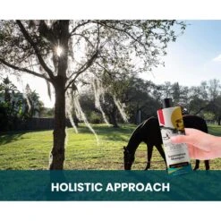 Gou Gou Pets Lemongrass Dog Shampoo, 16-oz Bottle -Pawfect Care 917974 PT7. AC SS1800 V1694442933