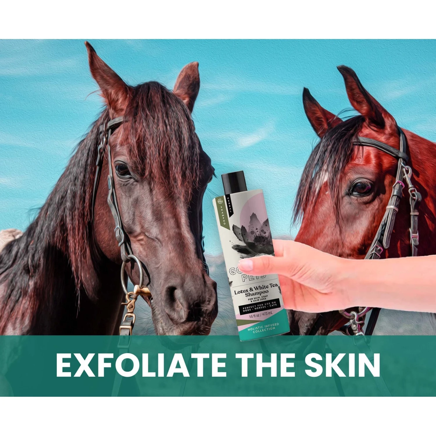 Gou Gou Pets Lotus & White Tea Dog Shampoo, 16-oz Bottle 6 Gou Gou Pets Lotus & White Tea Dog Shampoo, 16-oz Bottle - Image 4