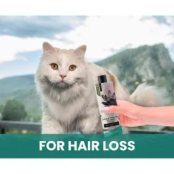 Gou Gou Pets Lotus & White Tea Dog Shampoo, 16-oz Bottle 16 Gou Gou Pets Lotus & White Tea Dog Shampoo, 16-oz Bottle -Pawfect Care 917990 PT6. AC SS1800 V1694442924