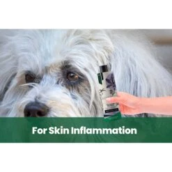 Gou Gou Pets Therapeutic Dog, Cat & Horse Shampoo, 16-oz Bottle -Pawfect Care 918006 PT4. AC SS1800 V1694442986