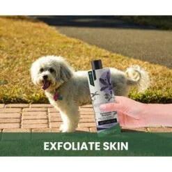 Gou Gou Pets Therapeutic Dog, Cat & Horse Shampoo, 16-oz Bottle -Pawfect Care 918006 PT5. AC SS1800 V1694443046