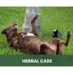 Gou Gou Pets Therapeutic Dog, Cat & Horse Shampoo, 16-oz Bottle -Pawfect Care 918006 PT6. AC SS1800 V1694442990