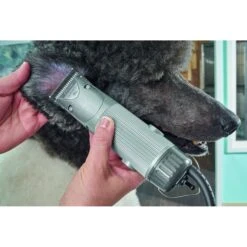 Oster® Oster A5 Golden Pet Hair Grooming Clipper -Pawfect Care 91884 PT6. AC SS1800 V1481295141