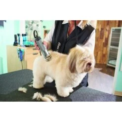 Oster® Oster A5 Golden Pet Hair Grooming Clipper -Pawfect Care 91884 PT7. AC SS1800 V1481295146