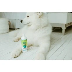 Earthbath Shed Control Green Tea & Awapuhi Dog & Cat Shampoo -Pawfect Care 92234 PT4. AC SS1800 V1642473432