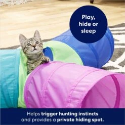 Frisco Foldable Play Tri-Tunnel Cat Toy & Frisco Butterfly Cat Tracks Cat Toy -Pawfect Care 933438 PT4. AC SS1800 V1692305507
