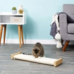 SmartCat The Ultimate 32-in Sisal Cat Scratching Post & SmartCat Bootsie's Combination Scratcher -Pawfect Care 933614 PT8. AC SS1800 V1692304039