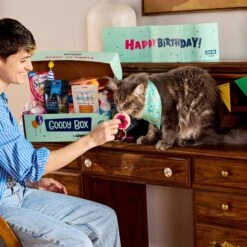 Goody Box Birthday Cat Toys, Treats & Collar & PetCakes Turkey Flavor Microwavable Birthday Cake Mix Kit With Fish Shaped Pan Cat Treats, 5-oz Bag -Pawfect Care 947294 PT4. AC SS1800 V1693925027