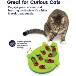 Nina Ottosson By Outward Hound Buggin' Out Puzzle & Play Cat Toy & Doc & Phoebe's Cat Co. Indoor Hunting Cat Feeder Kit -Pawfect Care 947542 PT4. AC SS1800 V1693925091