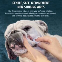 Vetericyn Plus Antimicrobial Feline Facial Therapy For Cat Acne, Eye & Ear Problems & Mouth Sores & Pet MD Chlorhexidine Antiseptic Wipes For Dogs & Cats -Pawfect Care 947566 PT8. AC SS1800 V1693925031