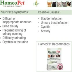 HomeoPet UTI+ Homeopathic Medicine For Urinary Tract Infections UTI For Cats & Pet Naturals UT Support Cat Chews -Pawfect Care 947598 PT3. AC SS1800 V1693602743