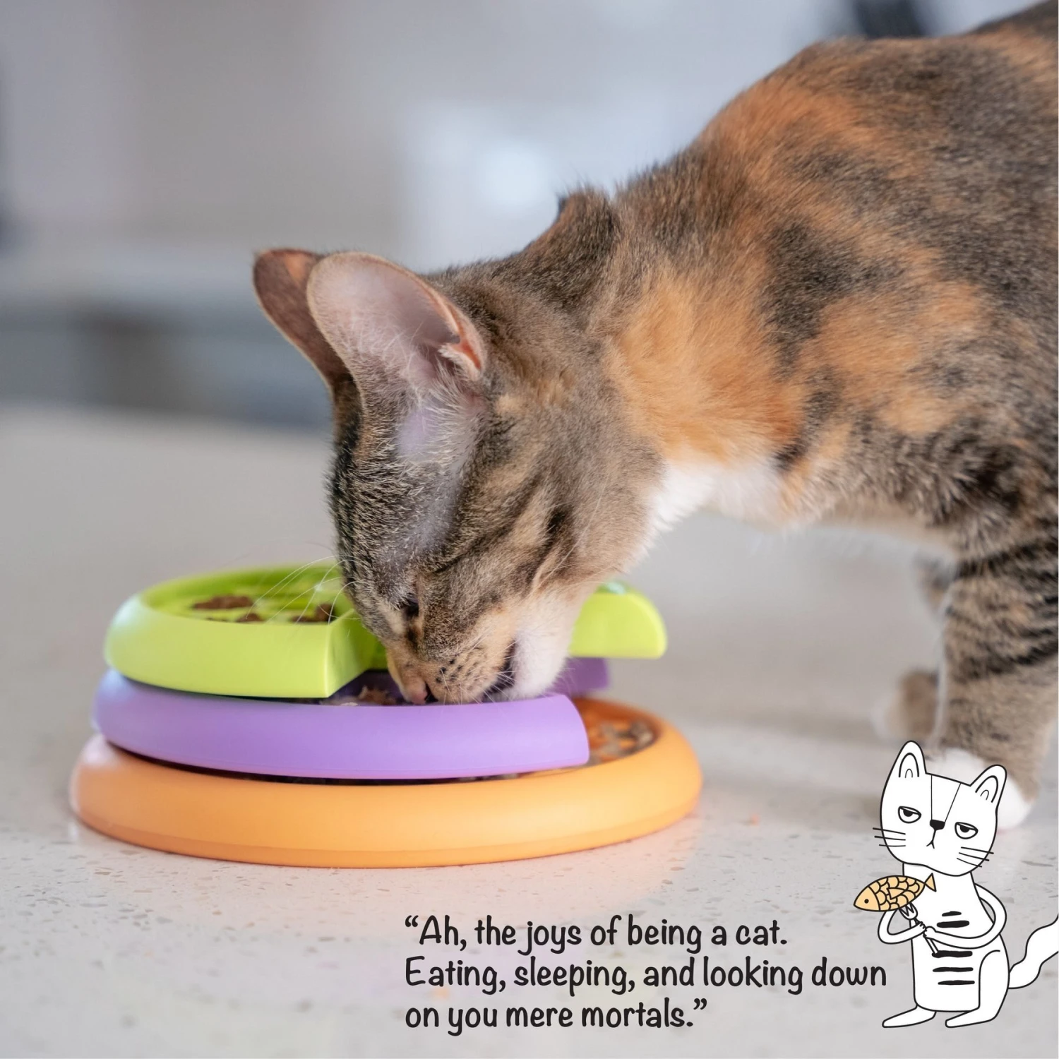 Catstages Kitty Lickin' Layers Multilayered Fun Puzzle Cat Feeder 8 Catstages Kitty Lickin' Layers Multilayered Fun Puzzle Cat Feeder - Image 6
