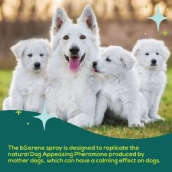 BSerene Pheromone Calming Spray For Dogs, 60-mL Bottle -Pawfect Care 961534 PT3. AC SS1800 V1699634975