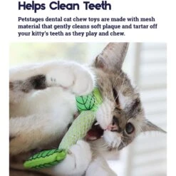 Catstages Fresh Breath Mint Stick Cat Chew Toy & Catstages Dental Kitty Chew Wheel Cat Chew Toy -Pawfect Care 961990 PT3. AC SS1800 V1694784009