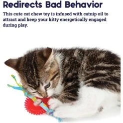 Catstages Fresh Breath Mint Stick Cat Chew Toy & Catstages Dental Kitty Chew Wheel Cat Chew Toy -Pawfect Care 961990 PT8. AC SS1800 V1694784008