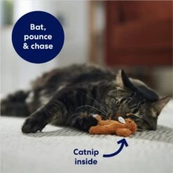 Frisco Squirrel Plush Cat Toy With Refillable Catnip & Frisco Bird With Feathers Teaser Wand Cat Toy With Catnip -Pawfect Care 962030 PT3. AC SS1800 V1694783954