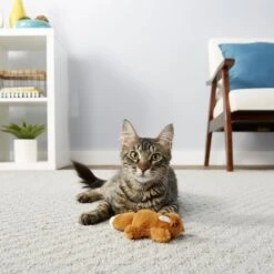 Frisco Squirrel Plush Cat Toy With Refillable Catnip & Frisco Bird With Feathers Teaser Wand Cat Toy With Catnip -Pawfect Care 962030 PT4. AC SS1800 V1694783955