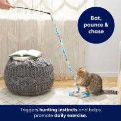 Frisco Fabric Teaser Wand Cat Toy & Frisco Bird With Feathers Teaser Wand Cat Toy With Catnip -Pawfect Care 962094 PT3. AC SS1800 V1694782977