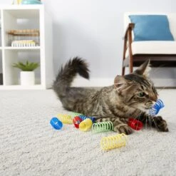 Frisco Colorful Springs Cat Toy & Frisco Bird With Feathers Teaser Wand Cat Toy With Catnip 15 Frisco Colorful Springs Cat Toy & Frisco Bird With Feathers Teaser Wand Cat Toy With Catnip -Pawfect Care 962126 PT4. AC SS1800 V1694782923