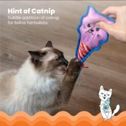 Catstages Kitt'n Candy Kicker Pink Interactive Catnip Cat Toy, Pink -Pawfect Care 976198 PT2. AC SS1800 V1696615465