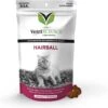 VetriScience Hairball Chicken Liver Flavored Soft Chews Hairball Control Supplement For Cats
