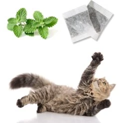 Pet Fit For Life Floppy Fish Cat Toy, Multicolor, Medium, 2 Count -Pawfect Care 987118 PT4. AC SS1800 V1699648333