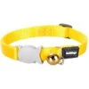 Red Dingo Classic Kitten Collar -Pawfect Care 990718 MAIN. AC SS1800 V1703091035