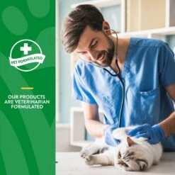 NaturVet Hairball Aid Plus Pumpkin Soft Chews Hairball Control Supplement For Cats -Pawfect Care 99412 PT5. AC SS1800 V1698692843